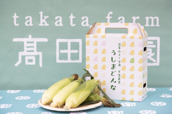 【送料無料】うしまどんな（白色、8~12本入り） - 画像 (3)