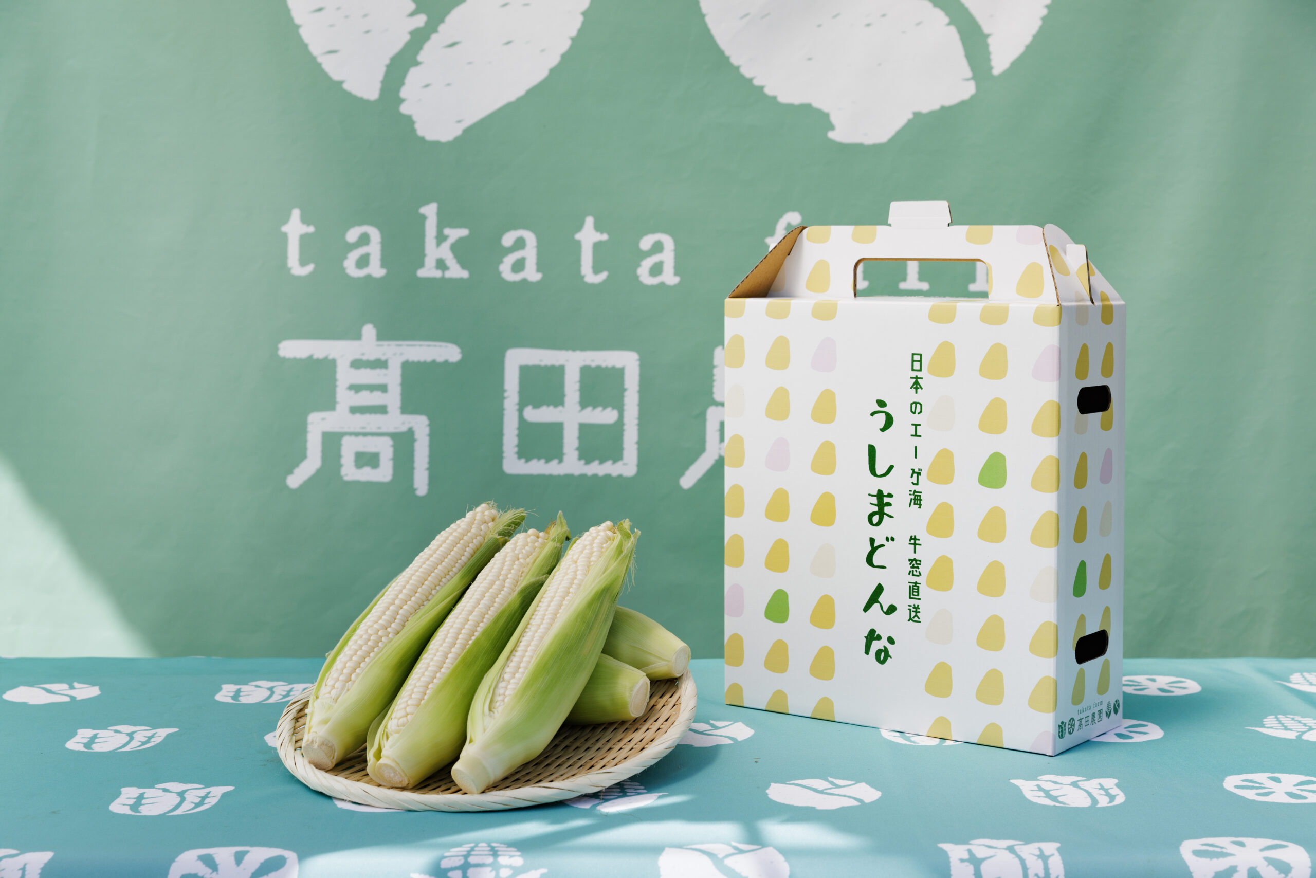 【紹介者限定】うしまどんな(白色、8~12本入り) - 画像 (2)